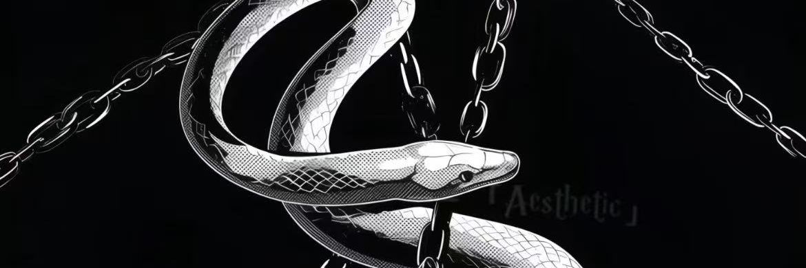 SandalsSaunders's profile banner image