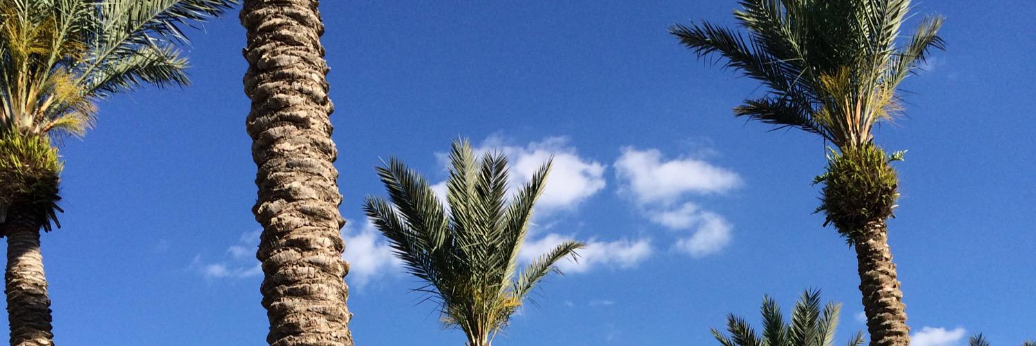 kdonns11's profile banner image