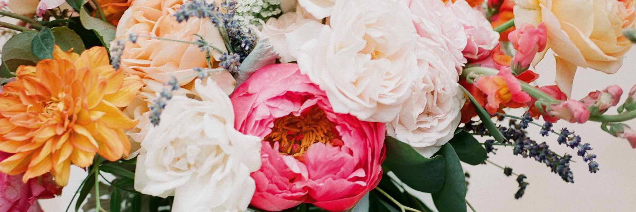 Anna Le Pley Taylor banner