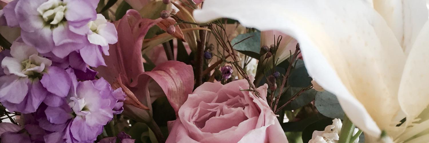 _Emeliaa's profile banner image