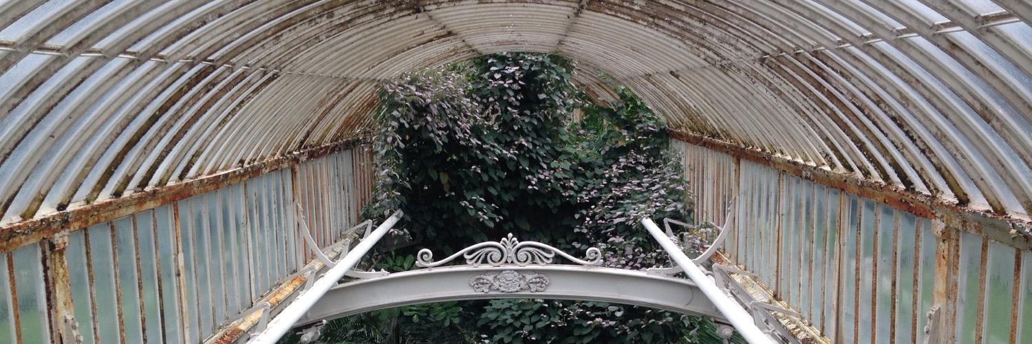 Willa Fitzgerald banner