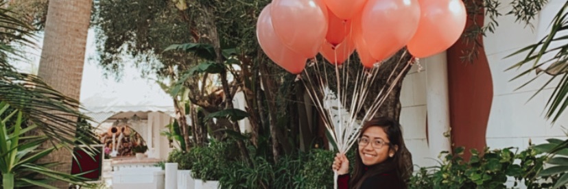 K I T T E.♕ banner