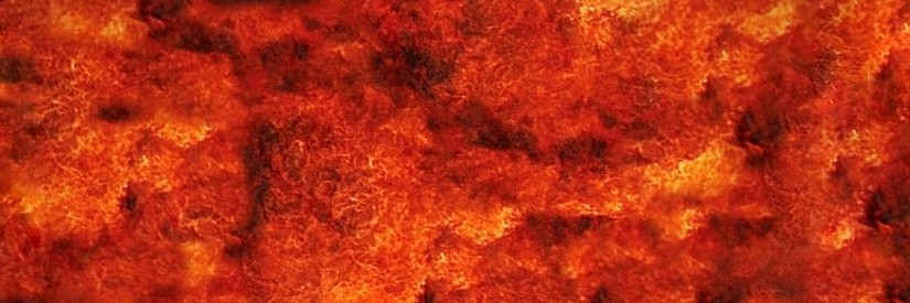 FizzyBaby1's profile banner image