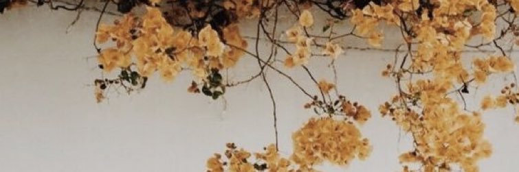 brit_cameron's profile banner image