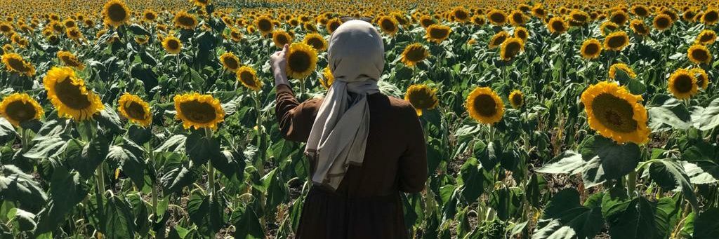 AtasoyZbeyde's profile banner image