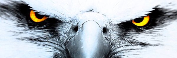Choat311 Profile Banner