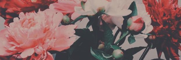 nororis_ana's profile banner image
