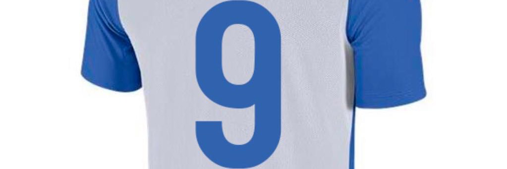 Bleddyn Humphries banner