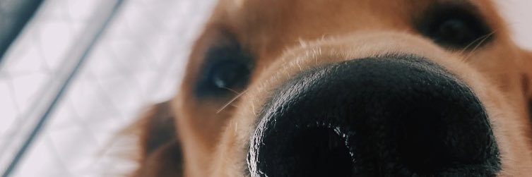 Gevermonde's profile banner image
