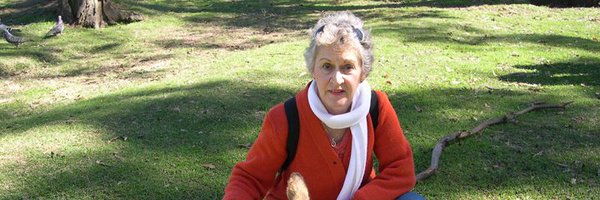 besdekock Profile Banner