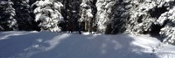 ihavealegohead Profile Banner