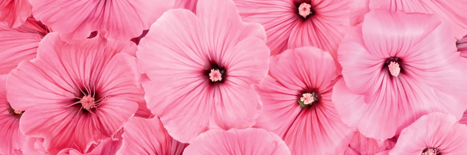 MizzBui4u's profile banner image