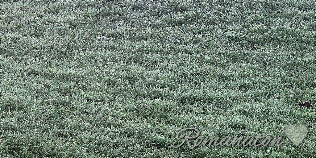 Runa Tgi Friday banner