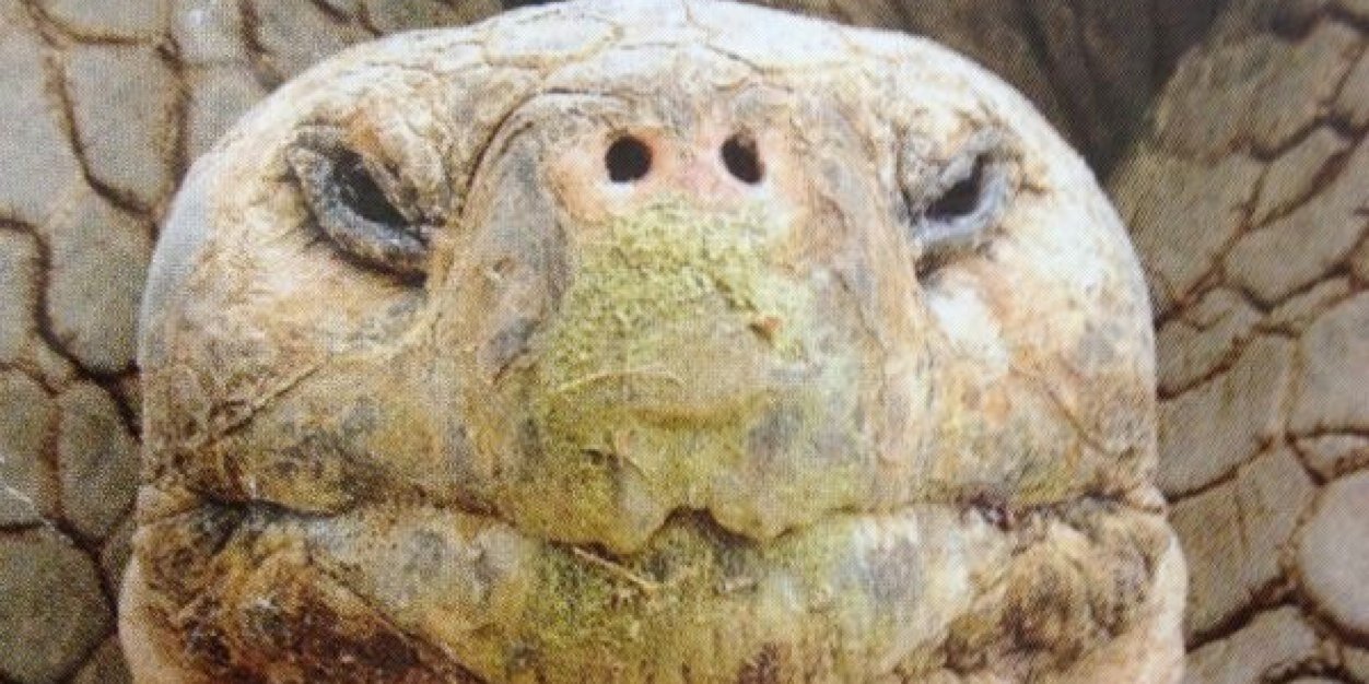 HosephJills's profile banner image