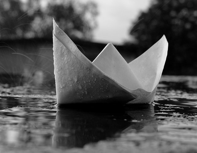 DivyaTripathi96's profile banner image