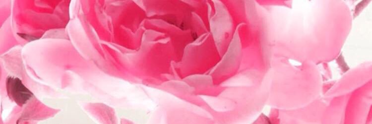 ElenyaBeatrice's profile banner image
