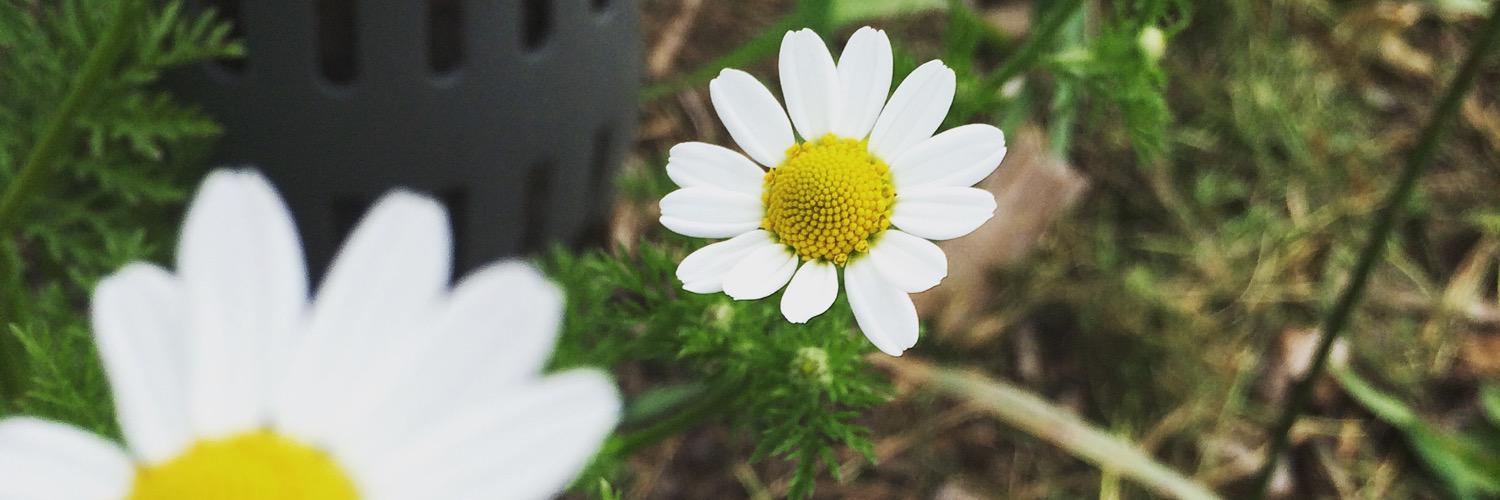 AsheAshton's profile banner image