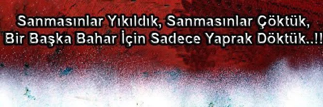 Orhan Y. Karakuş banner