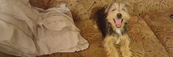 bringmechips Profile Banner