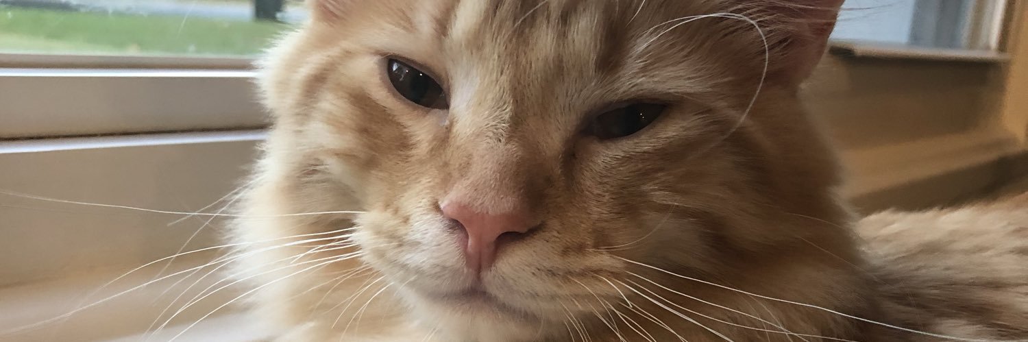 HaleyOates4's profile banner image