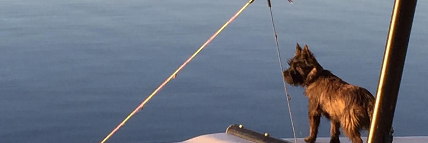parancibiam's profile banner image