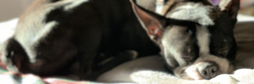 mrssteamboat's profile banner image