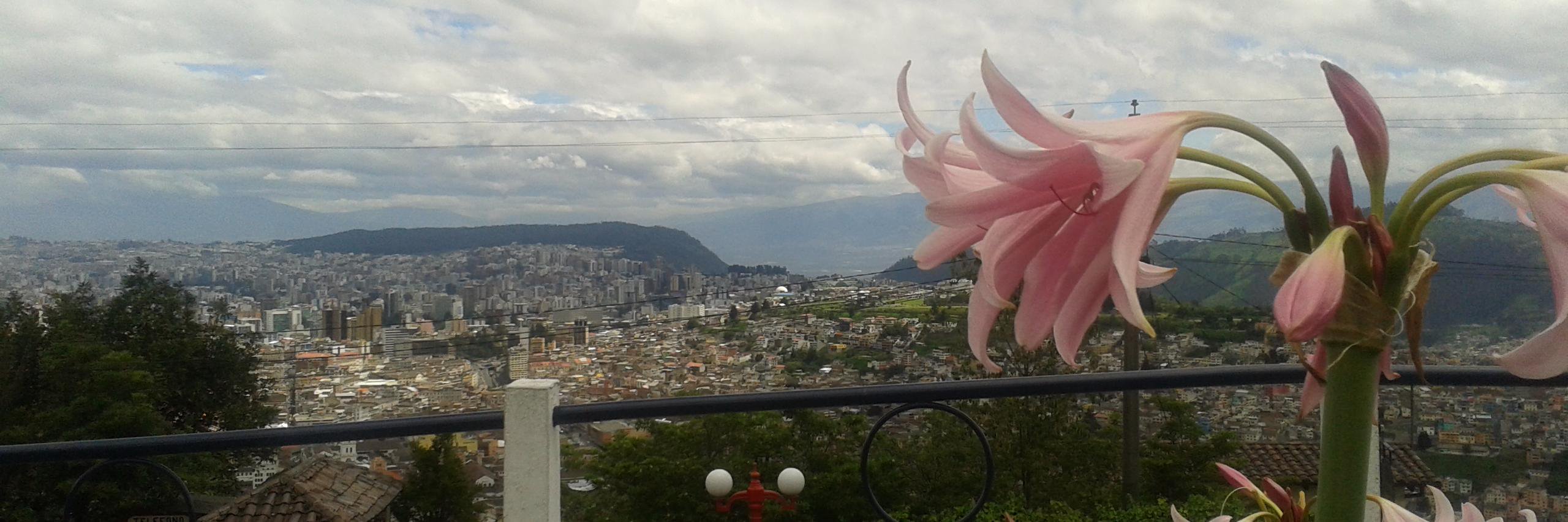 PVN10's profile banner image