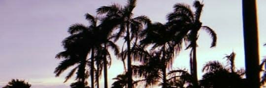 Jean Ariza D' banner