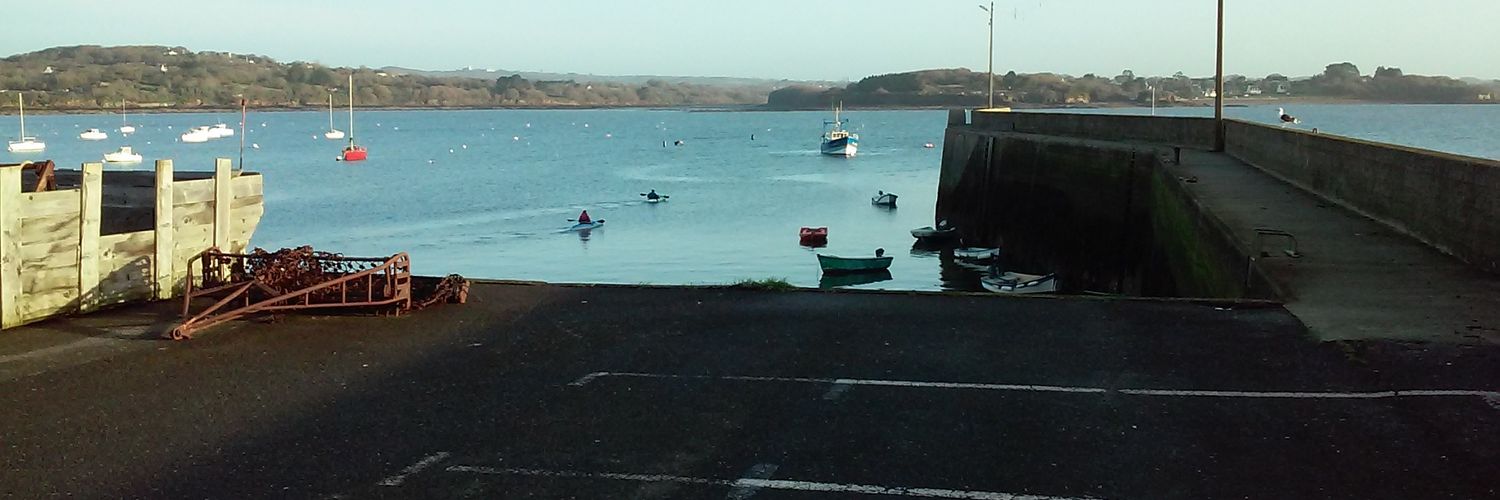 Bigorneaudu29 banner