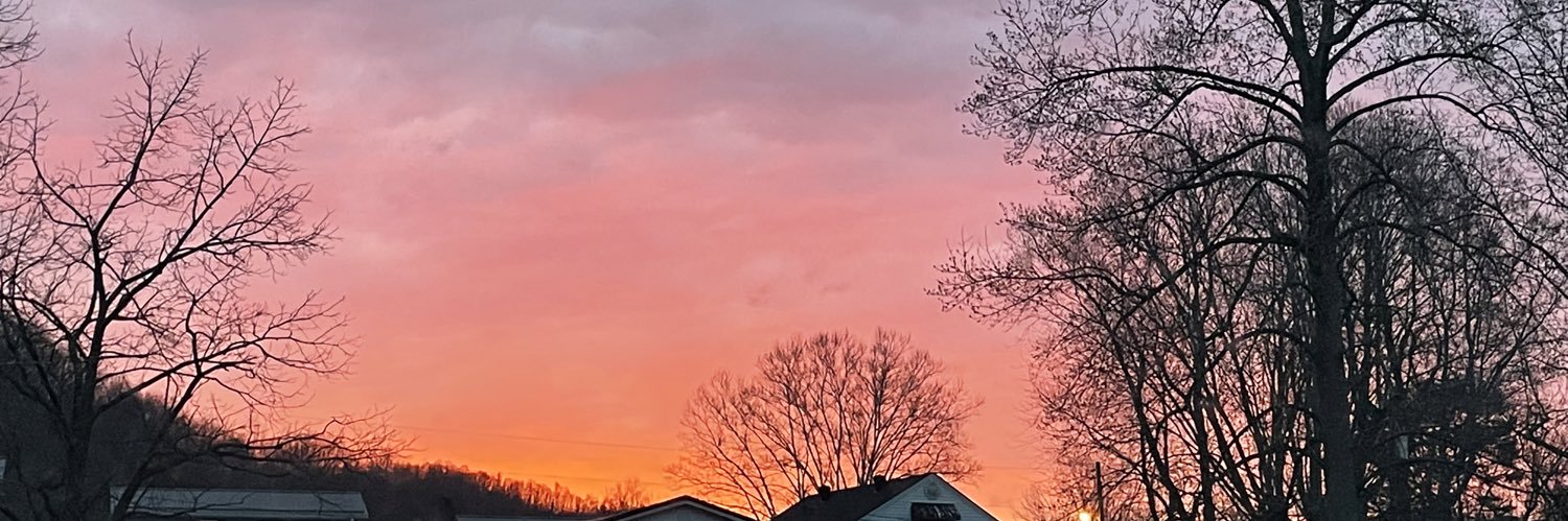 ReeseDotson's profile banner image