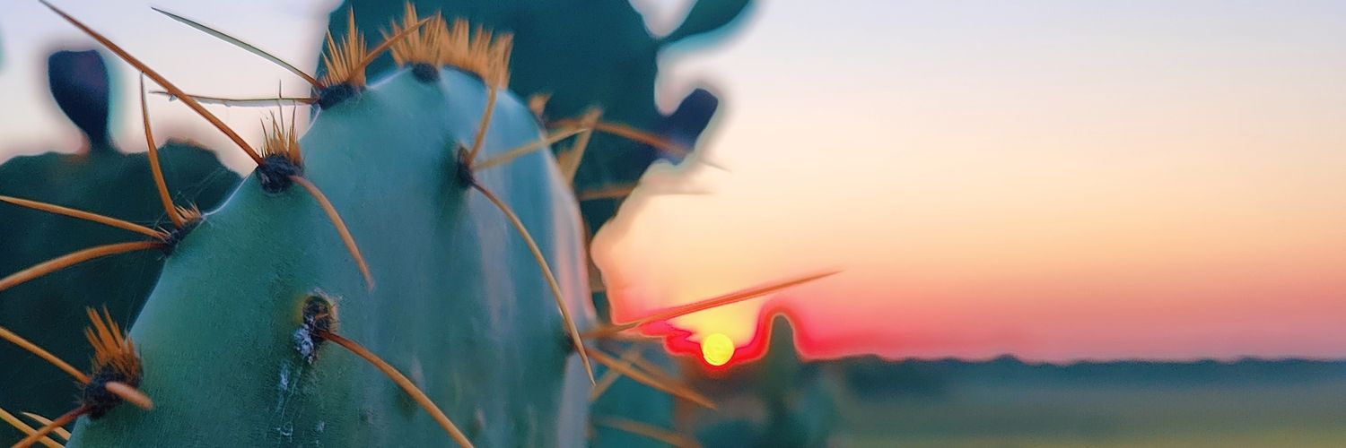 vervex's profile banner image