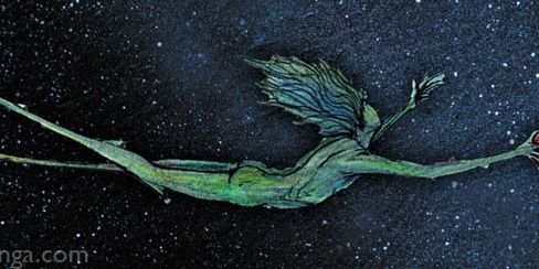 vhcarp's profile banner image