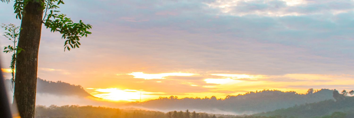 hsnull's profile banner image