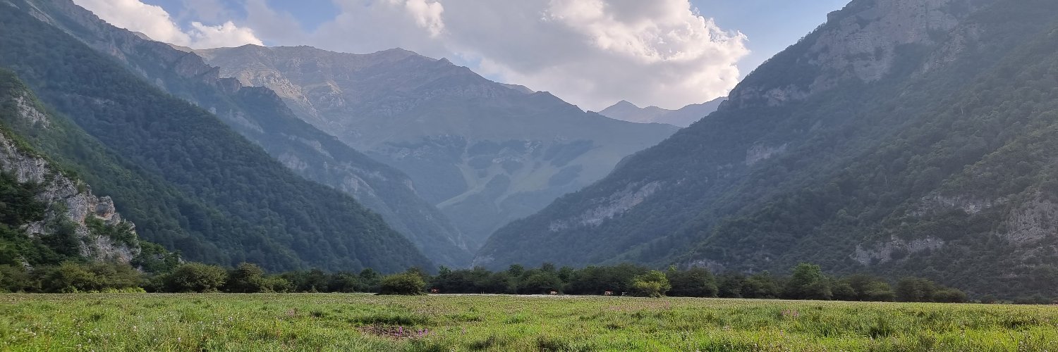 Hessam Armandehi banner