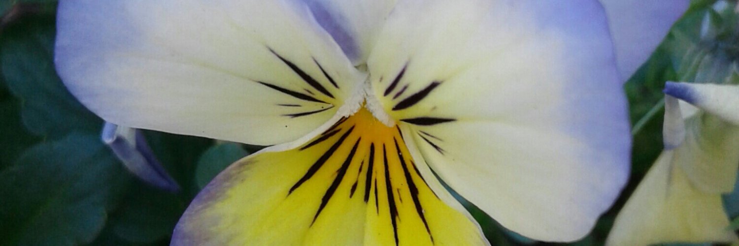 Cristina López banner