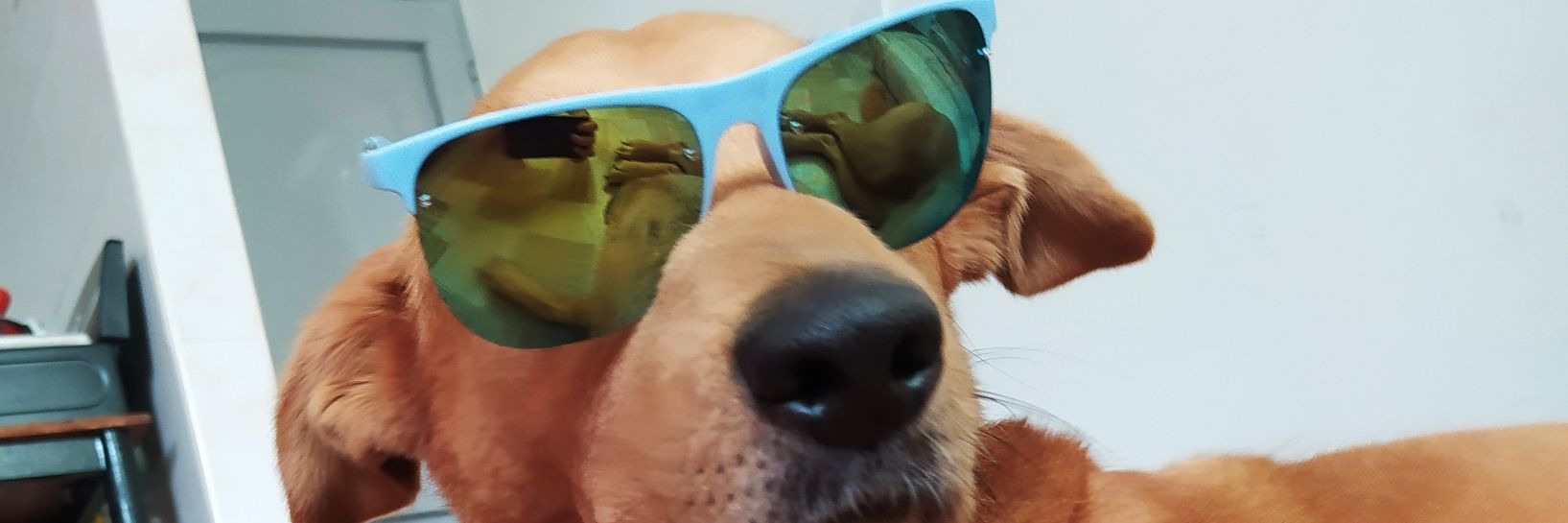 WilderMz2's profile banner image