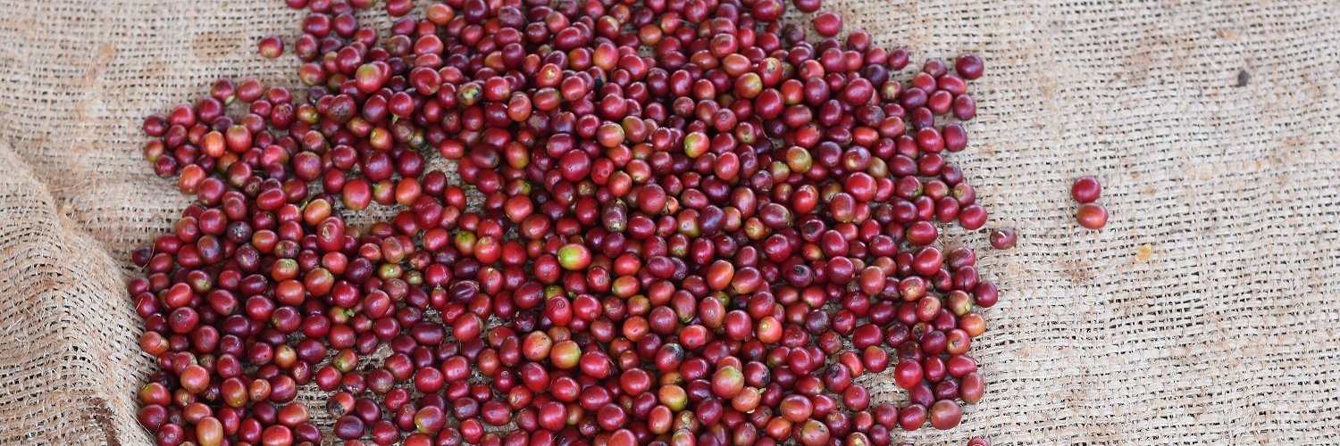 Crop to Cup Coffee banner