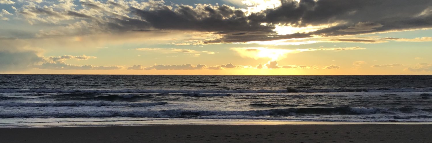 Ray Emmet Brown banner