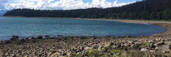 echorequests Profile Banner