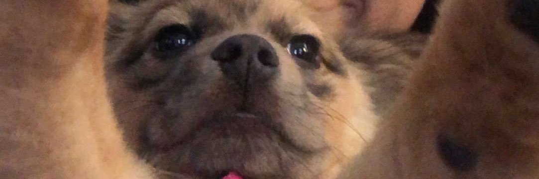 RachelKnick_'s profile banner image