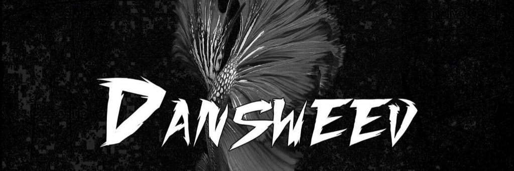 Dansweev_Music's profile banner image