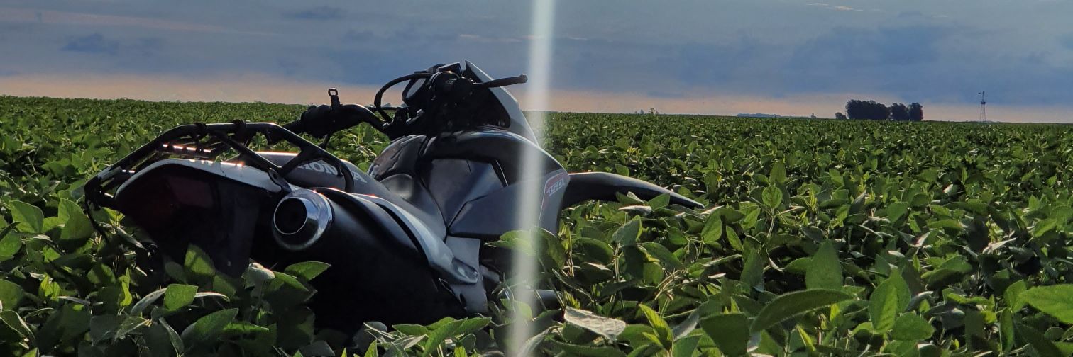 TatoTamargo's profile banner image