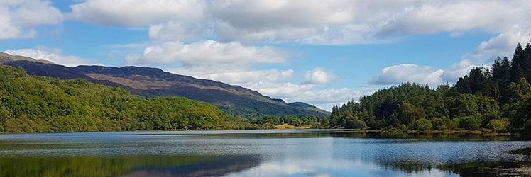 Ewan MacGill 🥸 banner