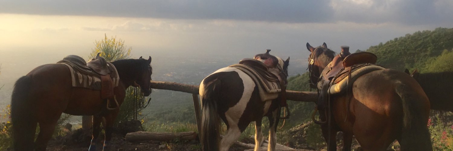 KristenGordon1's profile banner image