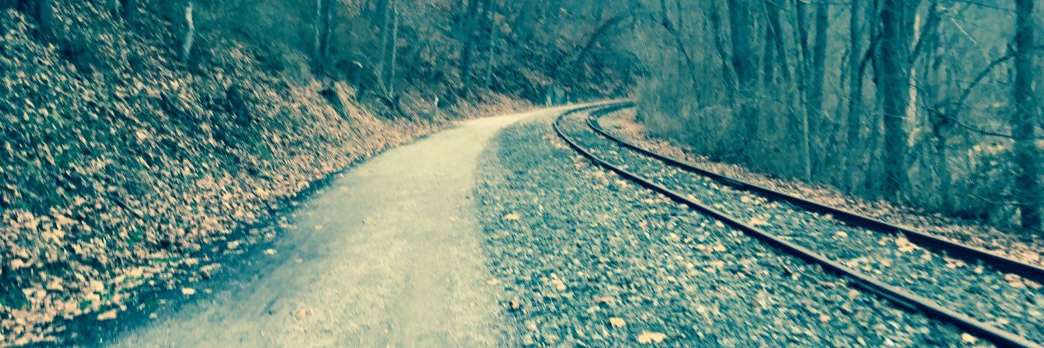 Jamie Gorsegner banner