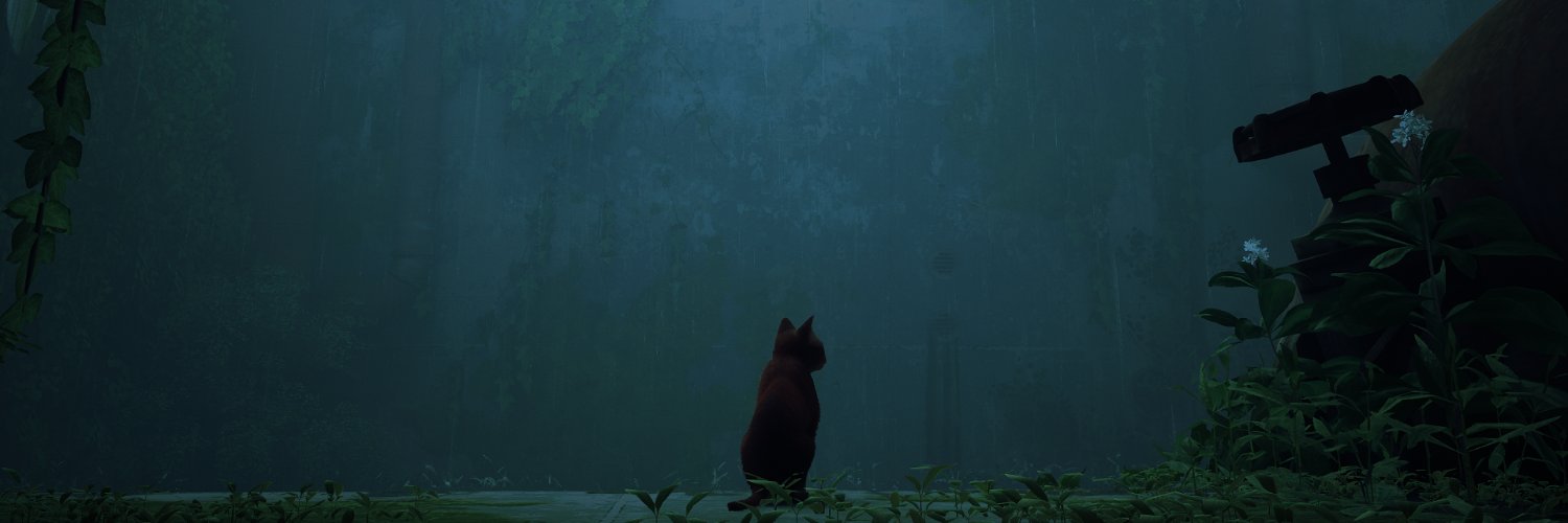 Irrelevanta, occasionally banner