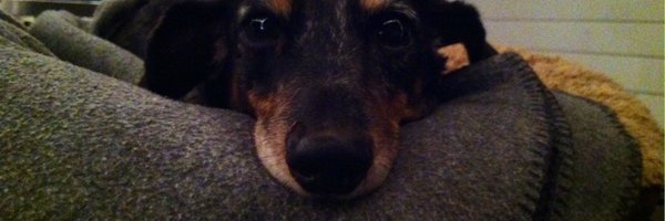 mikekirbyone Profile Banner