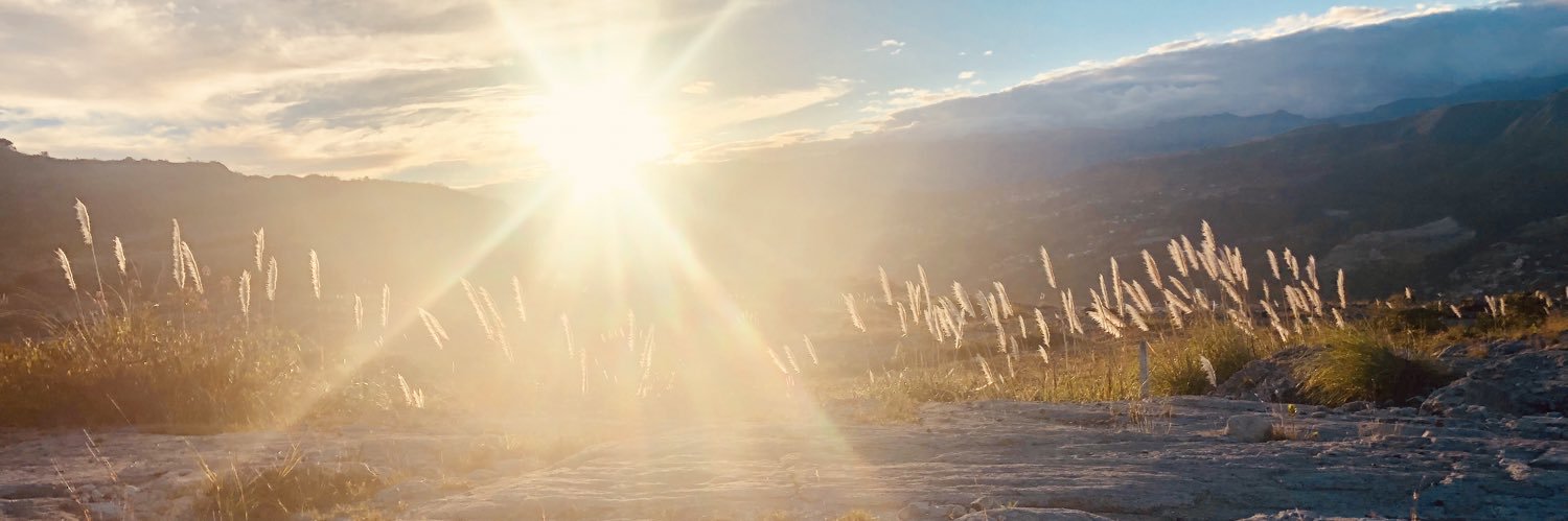 mari_elii's profile banner image