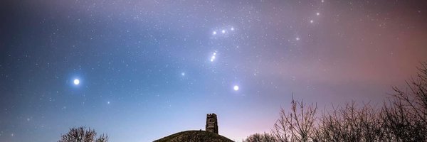 bee_happs Profile Banner