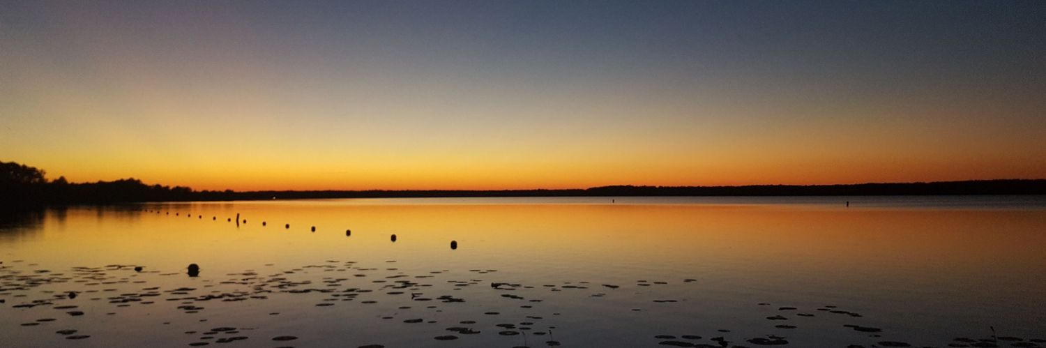 SusanFuller1's profile banner image